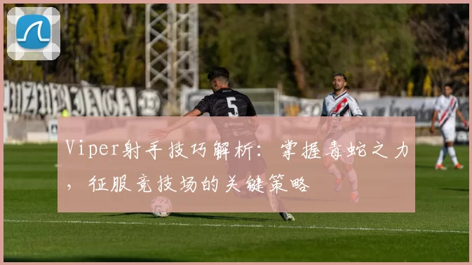 Viper射手技巧解析：掌握毒蛇之力，征服竞技场的关键策略