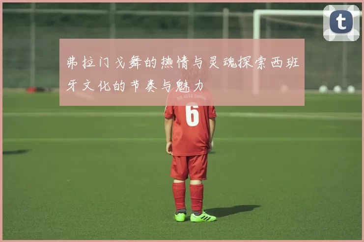 弗拉门戈舞的热情与灵魂探索西班牙文化的节奏与魅力