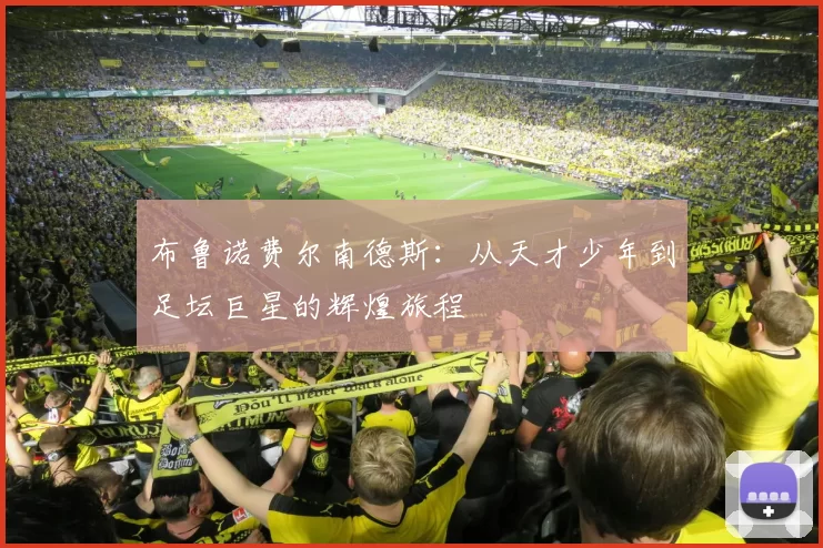 布鲁诺费尔南德斯：从天才少年到足坛巨星的辉煌旅程