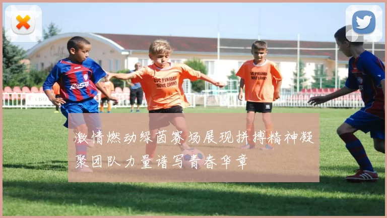 激情燃动绿茵赛场展现拼搏精神凝聚团队力量谱写青春华章